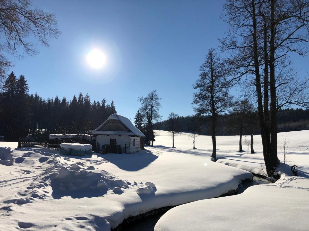 Hotel A Penzion Pegas Vlachovice 外观 照片