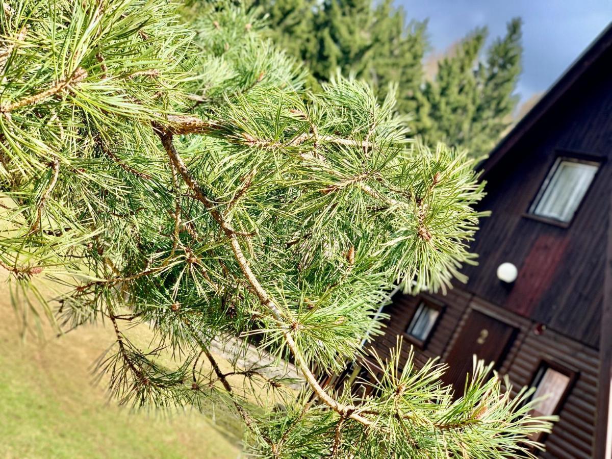Hotel A Penzion Pegas Vlachovice 外观 照片